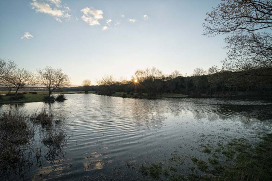 CopertinaRifugioPaduleBolgheri